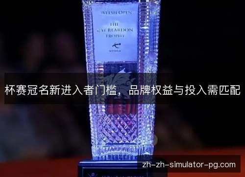 杯赛冠名新进入者门槛，品牌权益与投入需匹配